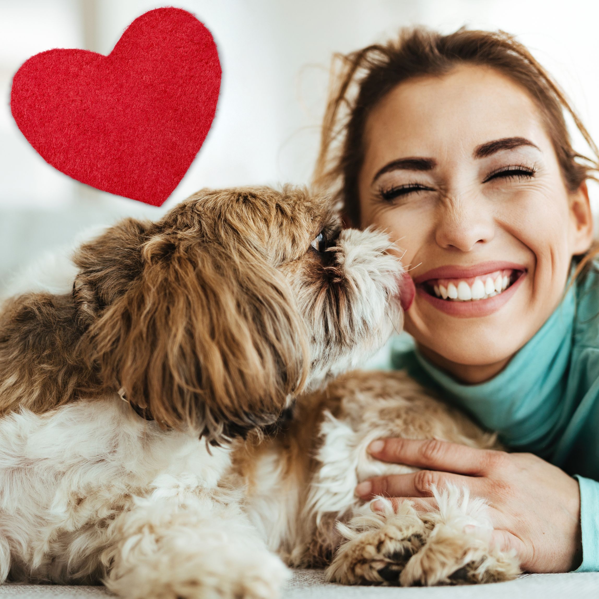 PET-FRIENDLY PROPERTY MANAGEMENT: ENSURING HAPPY HOMES FOR FURRY FRIENDS!